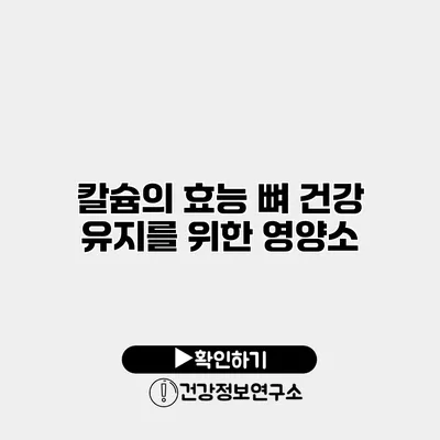 칼슘의 효능 뼈 건강 유지를 위한 영양소