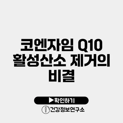 코엔자임 Q10 활성산소 제거의 비결