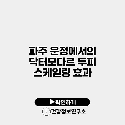 파주 운정에서의 닥터모다르 두피 스케일링 효과