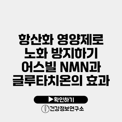 항산화 영양제로 노화 방지하기 어스빌 NMN과 글루타치온의 효과