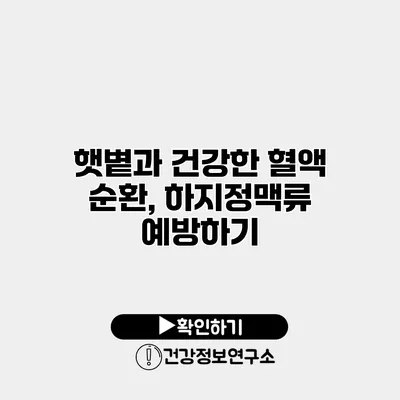 햇볕과 건강한 혈액 순환, 하지정맥류 예방하기