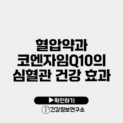 혈압약과 코엔자임Q10의 심혈관 건강 효과