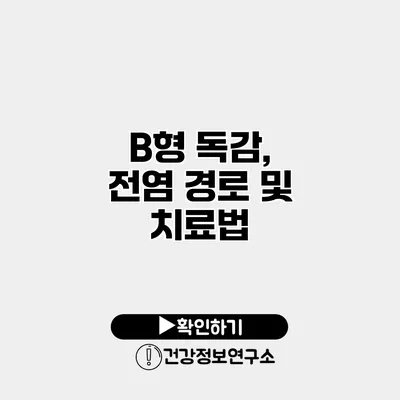 B형 독감, 전염 경로 및 치료법