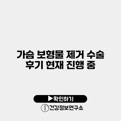가슴 보형물 제거 수술 후기 현재 진행 중