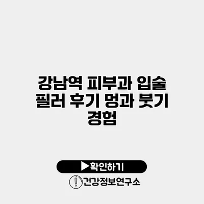 강남역 피부과 입술 필러 후기 멍과 붓기 경험