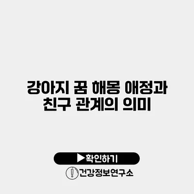 강아지 꿈 해몽 애정과 친구 관계의 의미