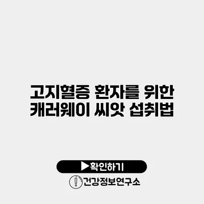 고지혈증 환자를 위한 캐러웨이 씨앗 섭취법