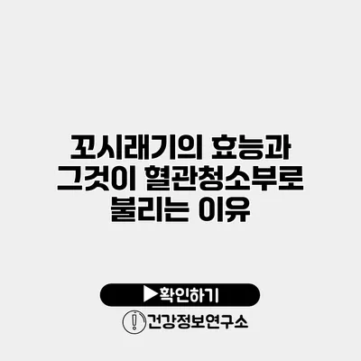 꼬시래기의 효능과 그것이 혈관청소부로 불리는 이유