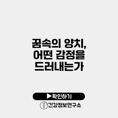 꿈속의 양치, 어떤 감정을 드러내는가?