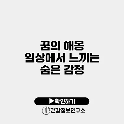 꿈의 해몽 일상에서 느끼는 숨은 감정