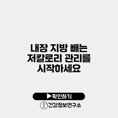 내장 지방 빼는 저칼로리 관리를 시작하세요