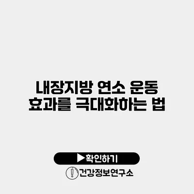 내장지방 연소 운동 효과를 극대화하는 법