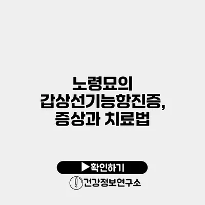 노령묘의 갑상선기능항진증, 증상과 치료법