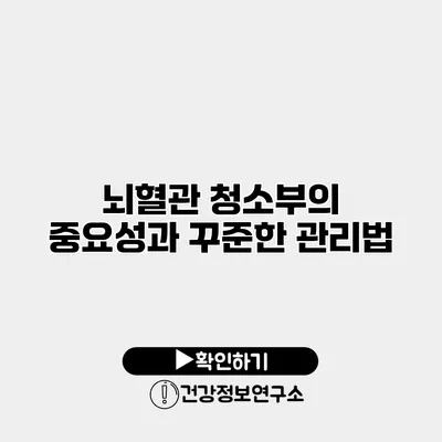 뇌혈관 청소부의 중요성과 꾸준한 관리법