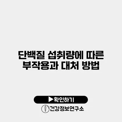 단백질 섭취량에 따른 부작용과 대처 방법