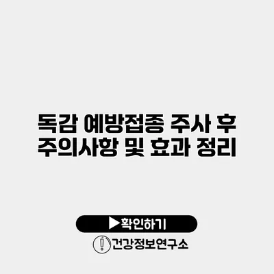 독감 예방접종 주사 후 주의사항 및 효과 정리