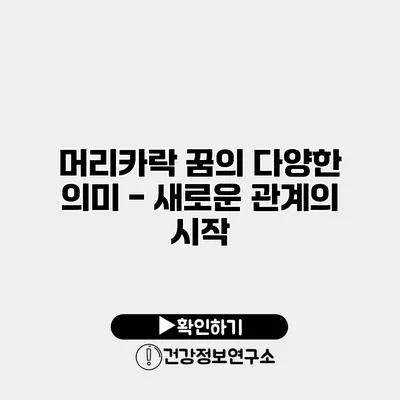 머리카락 꿈의 다양한 의미 - 새로운 관계의 시작