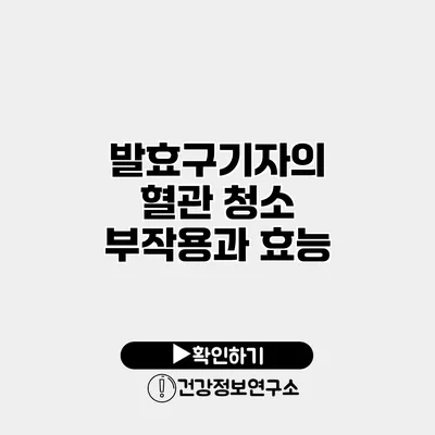 발효구기자의 혈관 청소 부작용과 효능