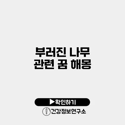 부러진 나무 관련 꿈 해몽