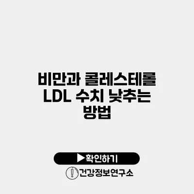 비만과 콜레스테롤 LDL 수치 낮추는 방법