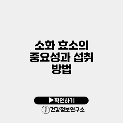 소화 효소의 중요성과 섭취 방법