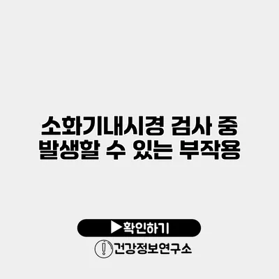 소화기내시경 검사 중 발생할 수 있는 부작용