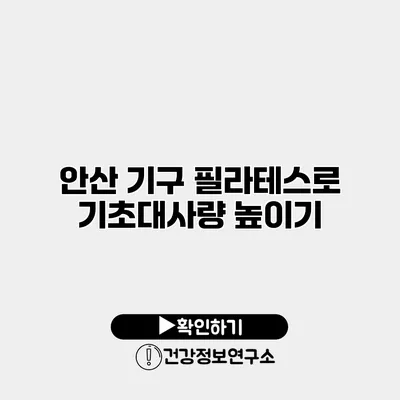 안산 기구 필라테스로 기초대사량 높이기