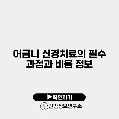 어금니 신경치료의 필수 과정과 비용 정보