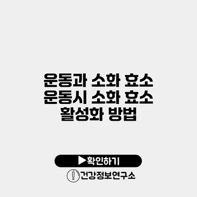 운동과 소화 효소 운동시 소화 효소 활성화 방법