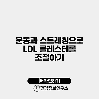 운동과 스트레칭으로 LDL 콜레스테롤 조절하기
