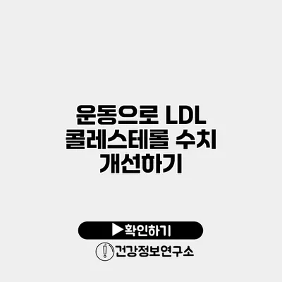 운동으로 LDL 콜레스테롤 수치 개선하기