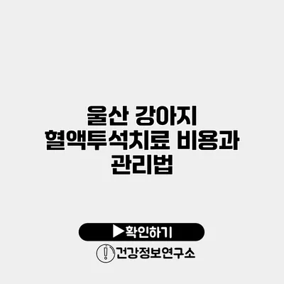 울산 강아지 혈액투석치료 비용과 관리법