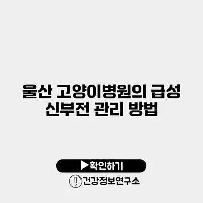 울산 고양이병원의 급성 신부전 관리 방법