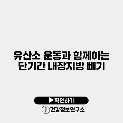 유산소 운동과 함께하는 단기간 내장지방 빼기