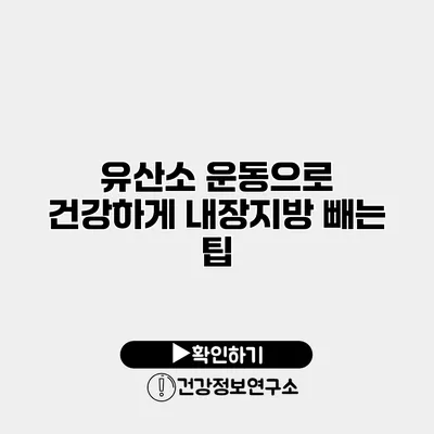 유산소 운동으로 건강하게 내장지방 빼는 팁