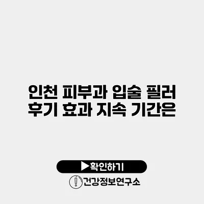 인천 피부과 입술 필러 후기 효과 지속 기간은?