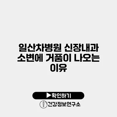 일산차병원 신장내과 소변에 거품이 나오는 이유