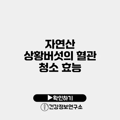 자연산 상황버섯의 혈관 청소 효능