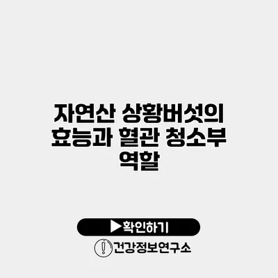 자연산 상황버섯의 효능과 혈관 청소부 역할