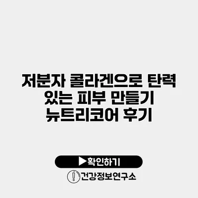 저분자 콜라겐으로 탄력 있는 피부 만들기 뉴트리코어 후기