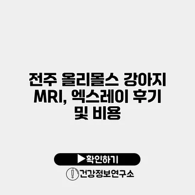 전주 올리몰스 강아지 MRI, 엑스레이 후기 및 비용