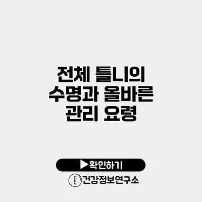 전체 틀니의 수명과 올바른 관리 요령
