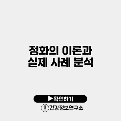 정화의 이론과 실제 사례 분석