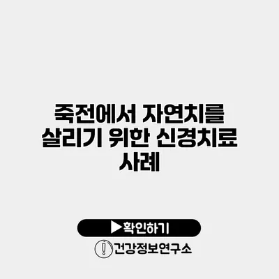 죽전에서 자연치를 살리기 위한 신경치료 사례