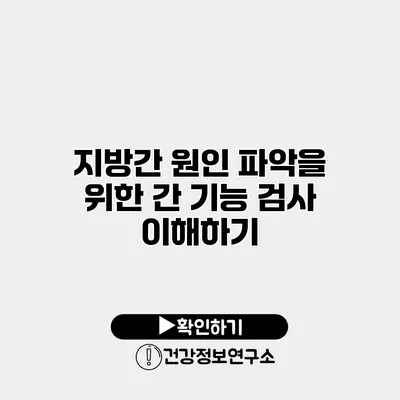 지방간 원인 파악을 위한 간 기능 검사 이해하기