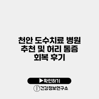 천안 도수치료 병원 추천 및 허리 통증 회복 후기