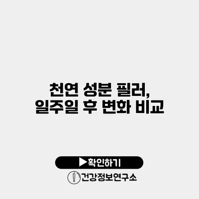 천연 성분 필러, 일주일 후 변화 비교