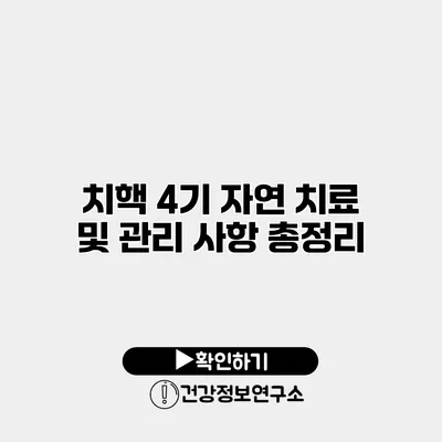 치핵 4기 자연 치료 및 관리 사항 총정리