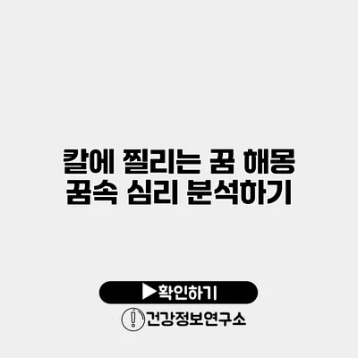 칼에 찔리는 꿈 해몽 꿈속 심리 분석하기