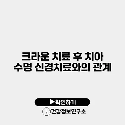 크라운 치료 후 치아 수명 신경치료와의 관계